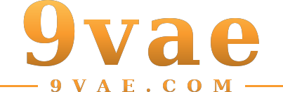 9vae logo